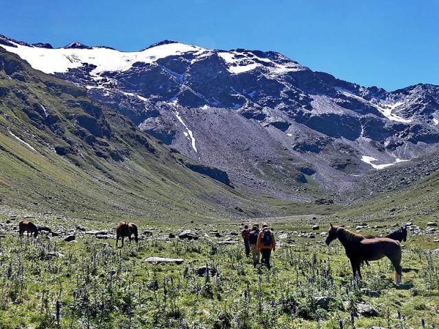 Zwischen den Pferden im hintersten Val Curciusa