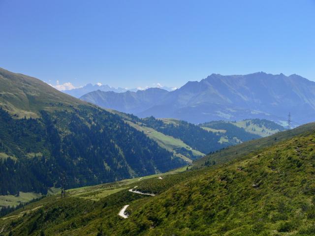 Auf den Hängen zwischen der Alp Ruschein und Siat